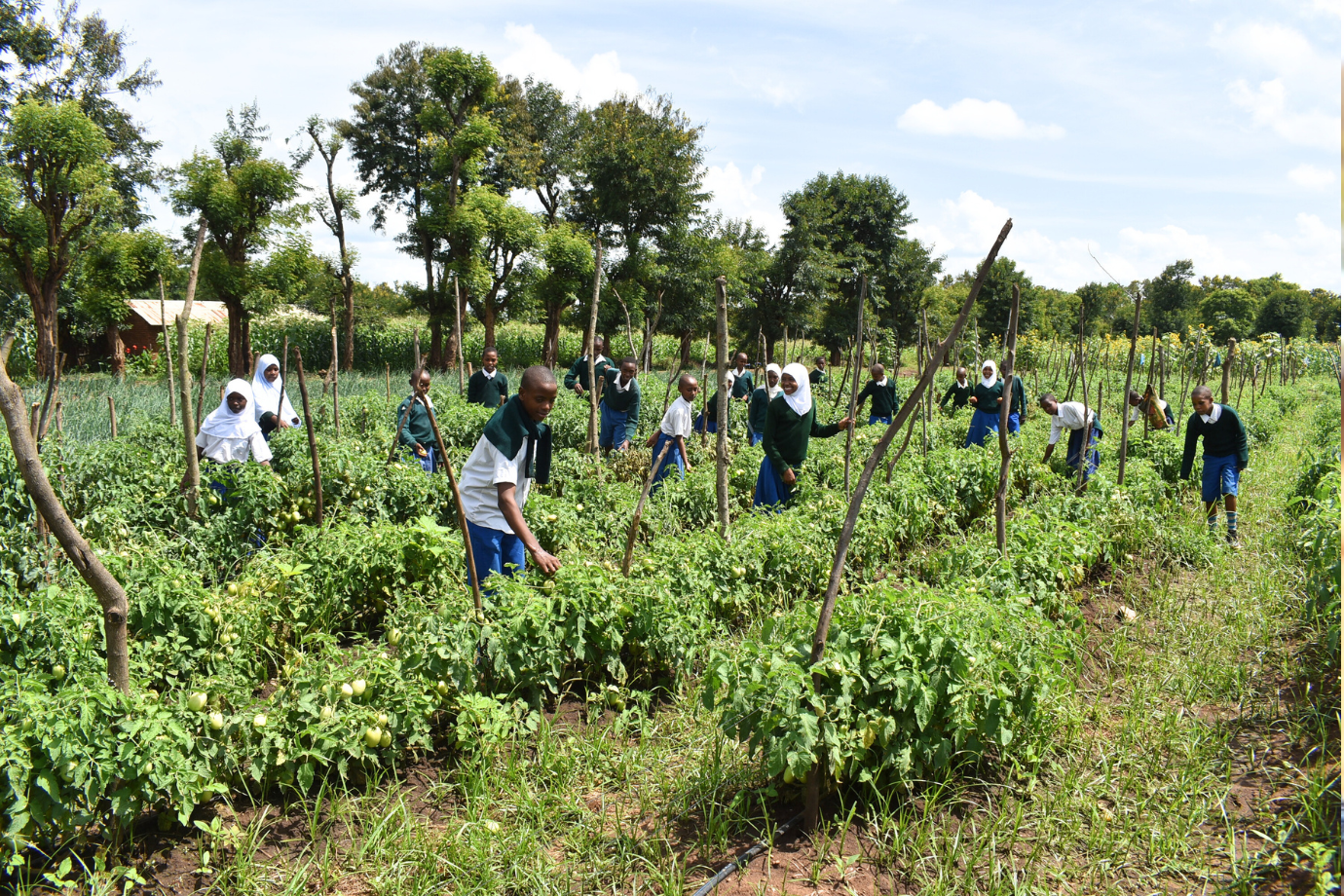 AIDN Feature: Slashed aid, sustainable investments: funding interventions that generate economic, social and environmental capital