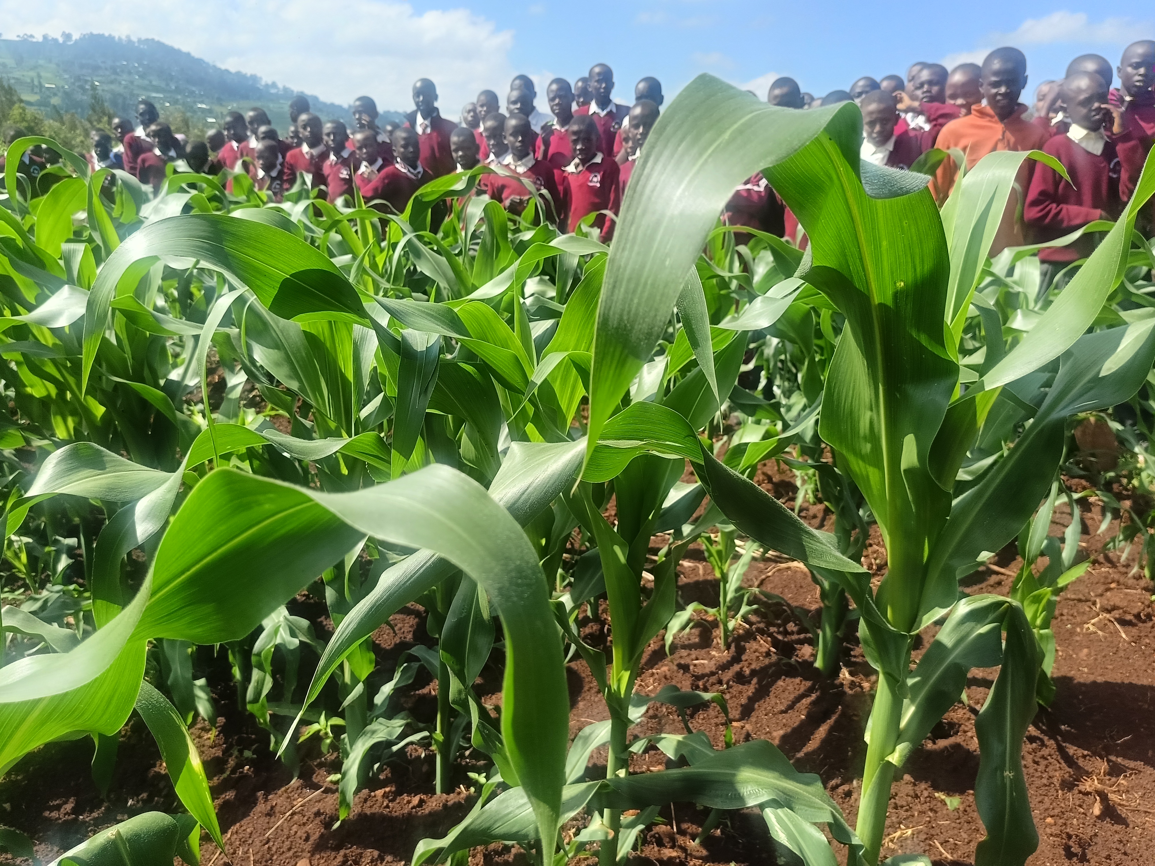 shamba letu