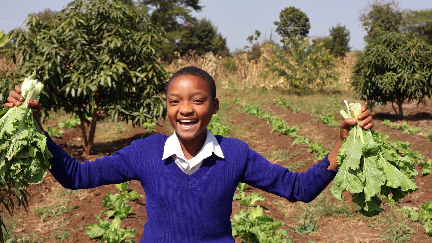 Shamba Letu harvest across program schools